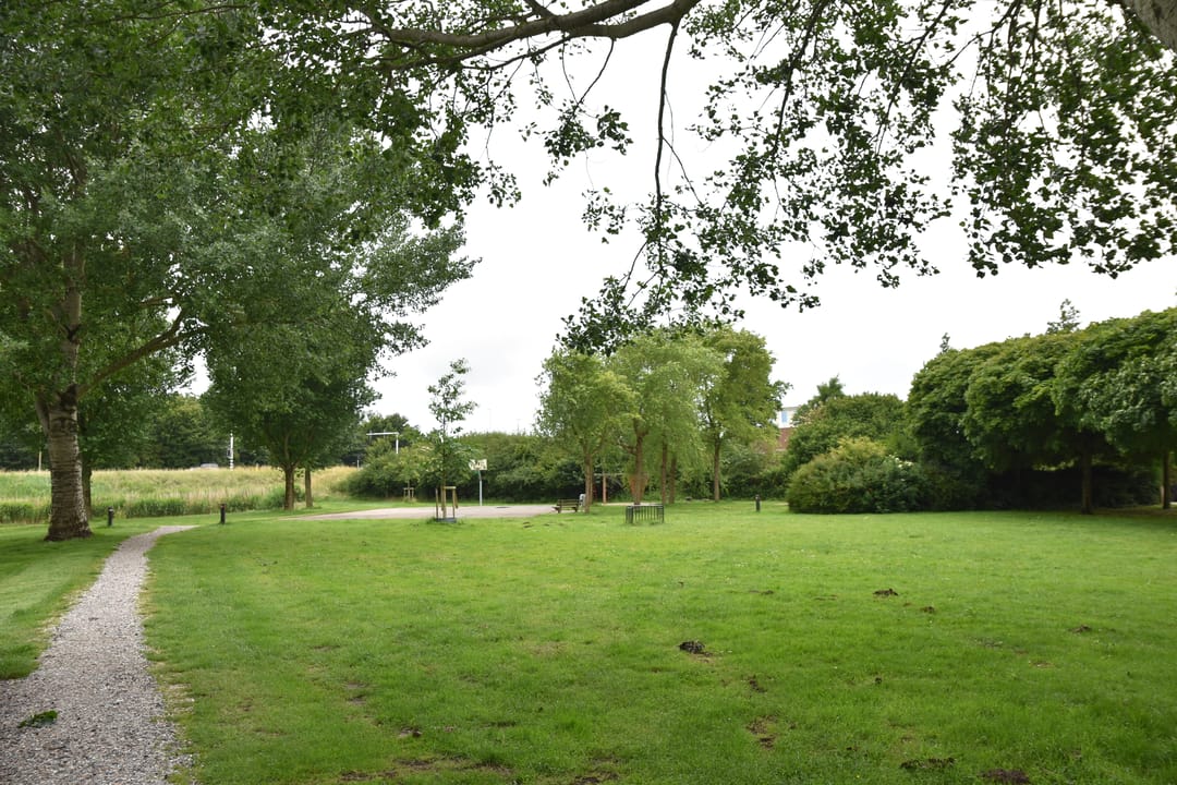 Foto 23 van Rosa Luxemburgpark 31