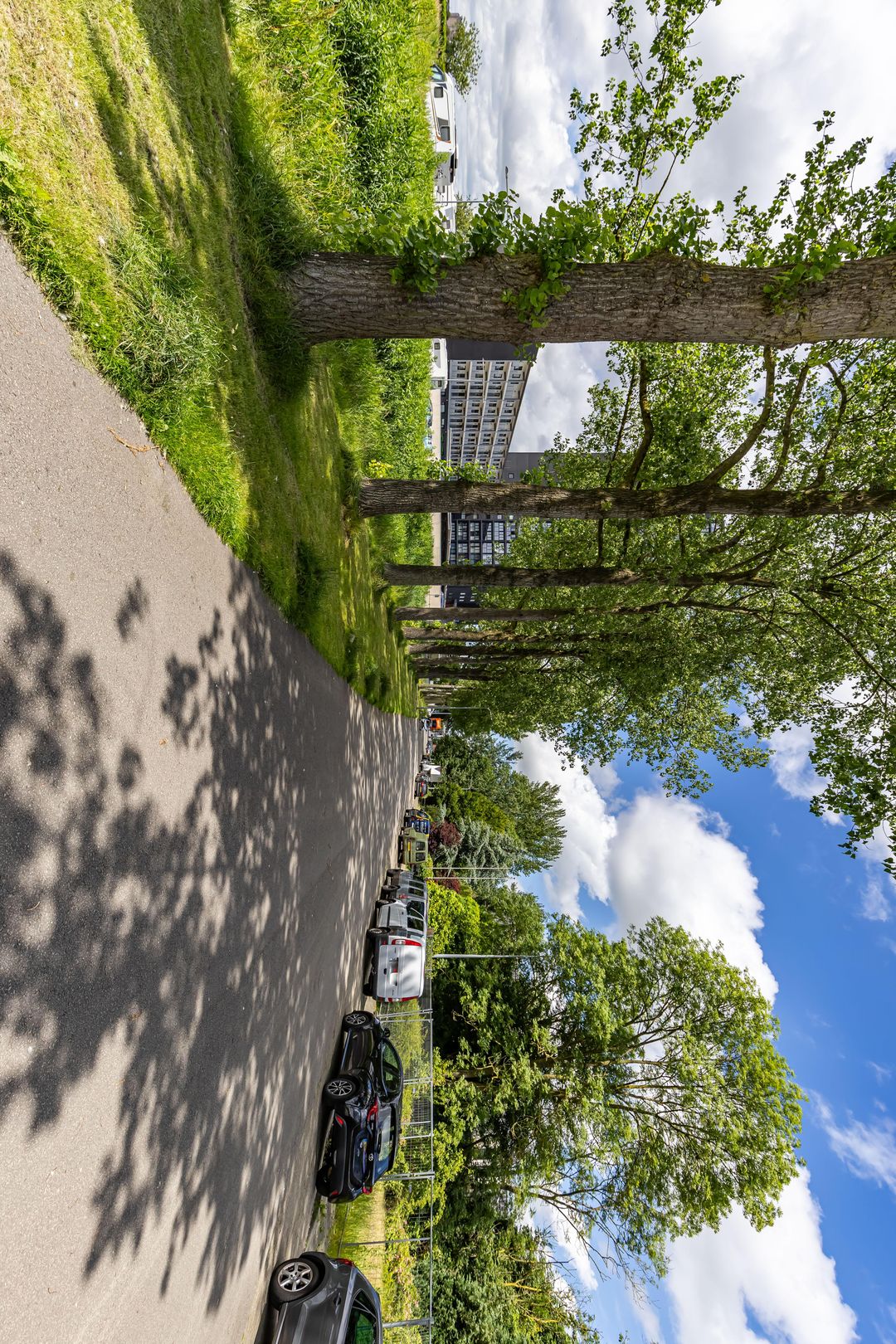 Foto 38 van Regattaweg 50