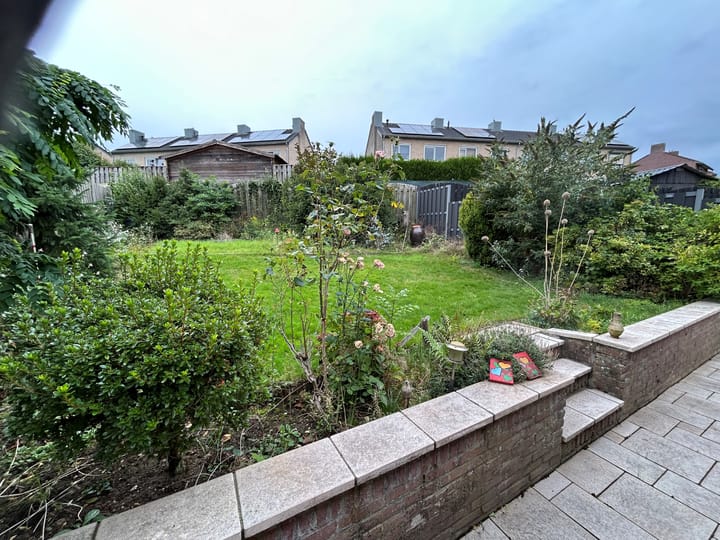 Photo 7 of Buijsroggestraat 9