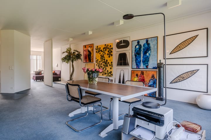 Foto 3 van Reviuslaan 74