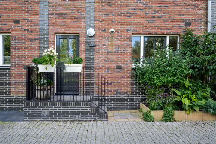 Siciliano 7 main image