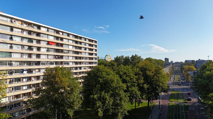 Foto 2 van Langswater 474