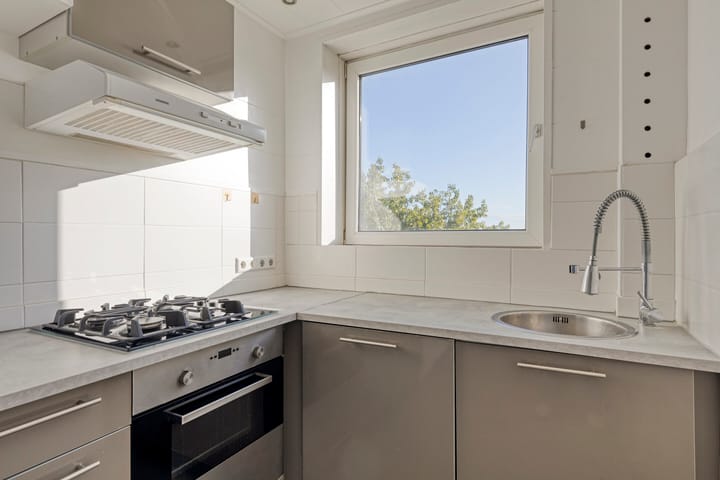 Foto 7 van Langswater 474