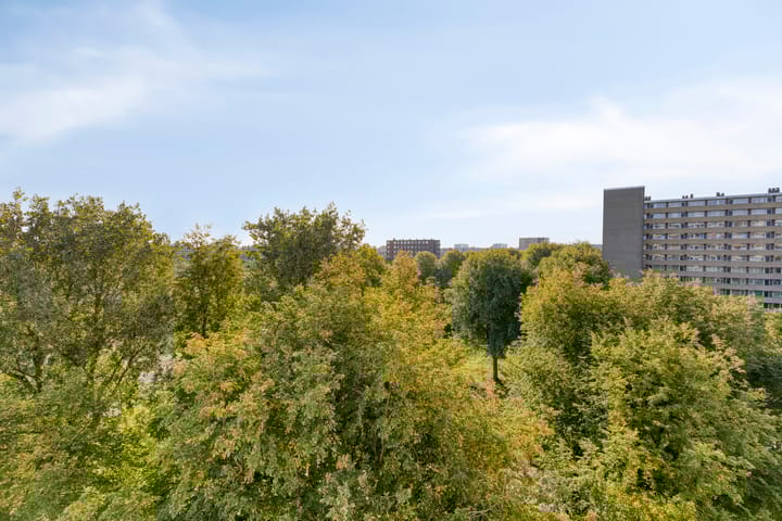 Foto 13 van Langswater 474