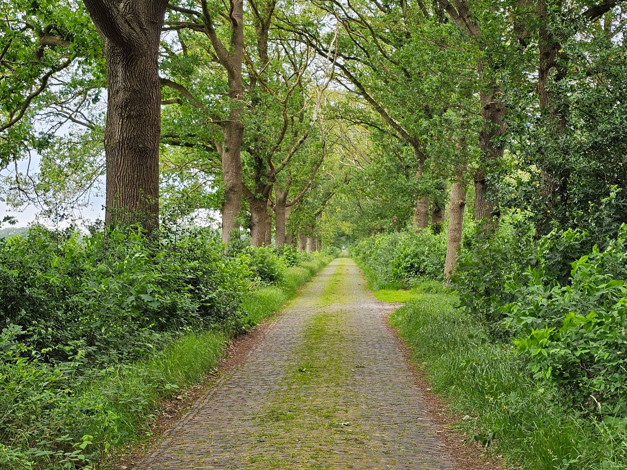 Foto 45 van Bovenweg 34