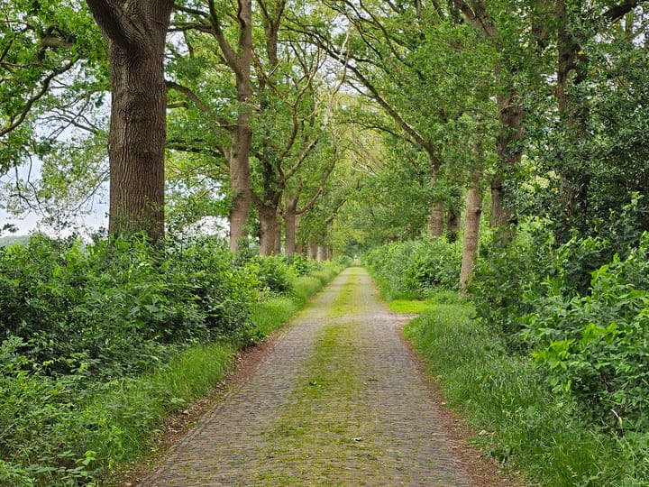 Foto 45 van Bovenweg 34