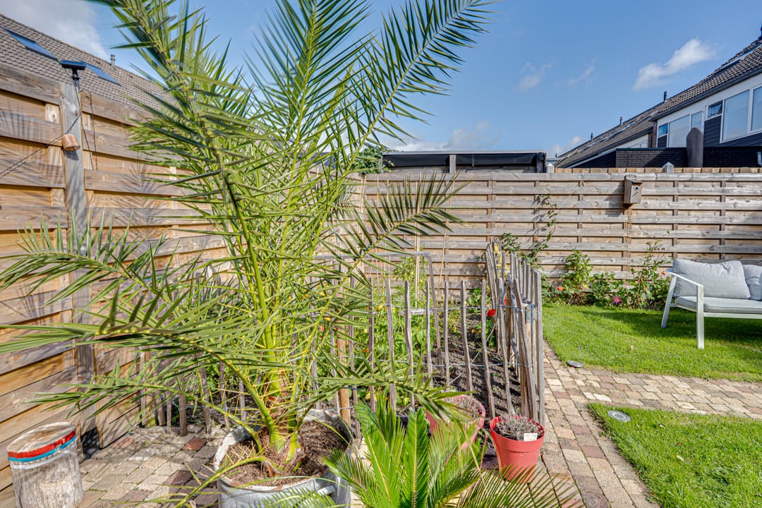 Photo 58 of Oosterscheldestraat 25