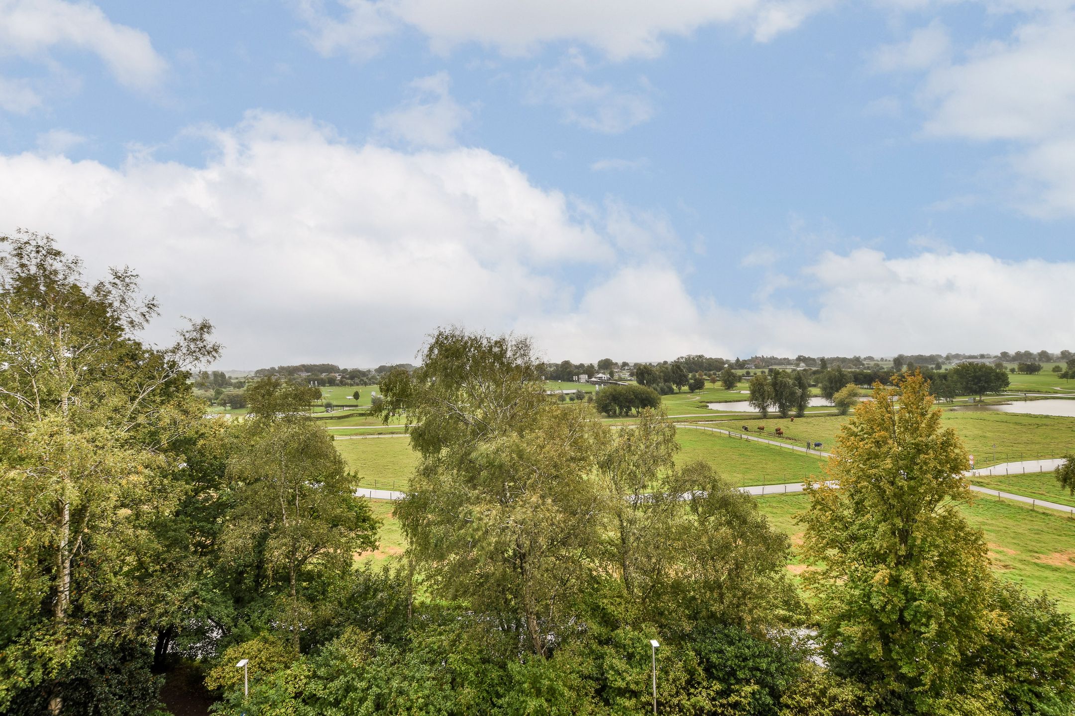 Foto 3 van Kringloop 335