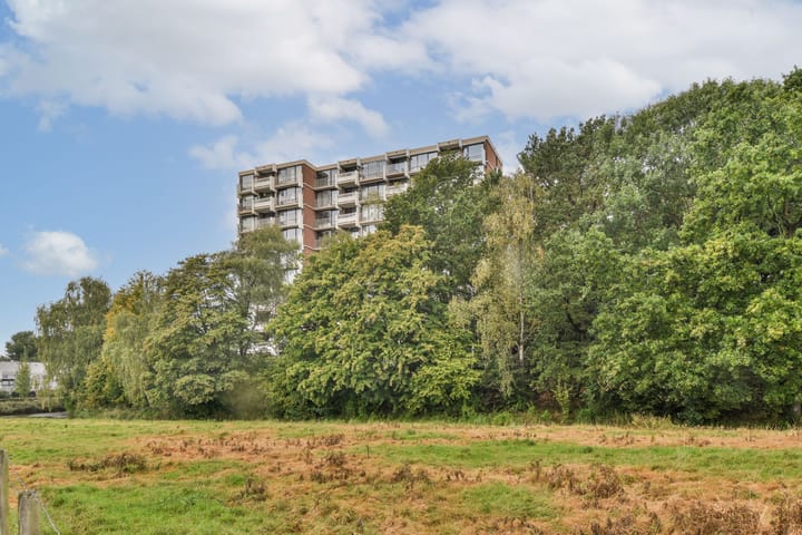 Photo 6 of Kringloop 335