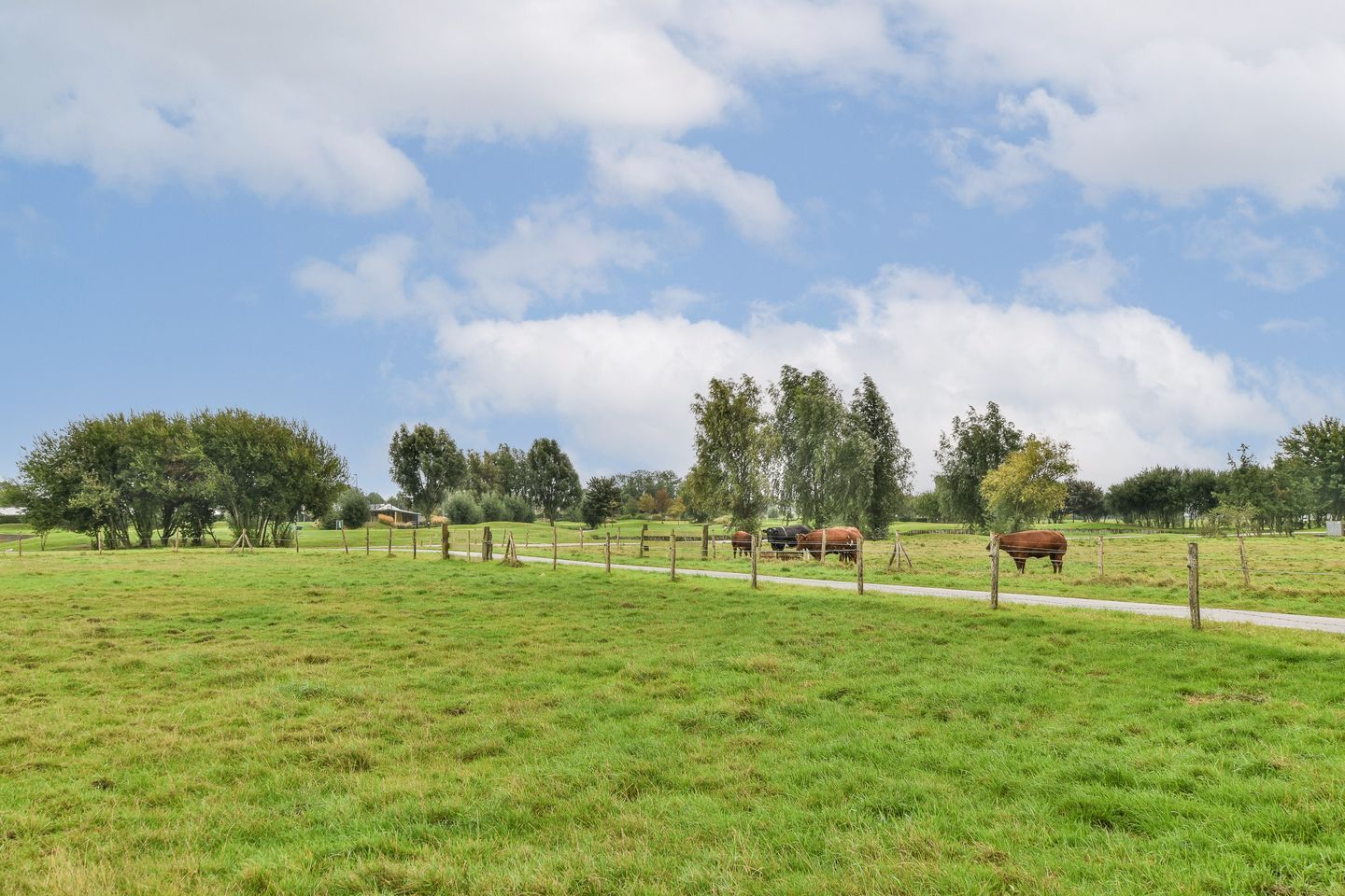 Foto 34 van Kringloop 335