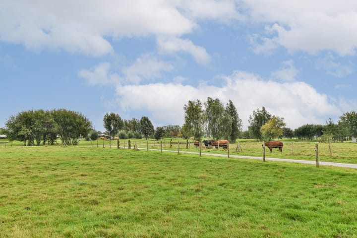 Photo 34 of Kringloop 335