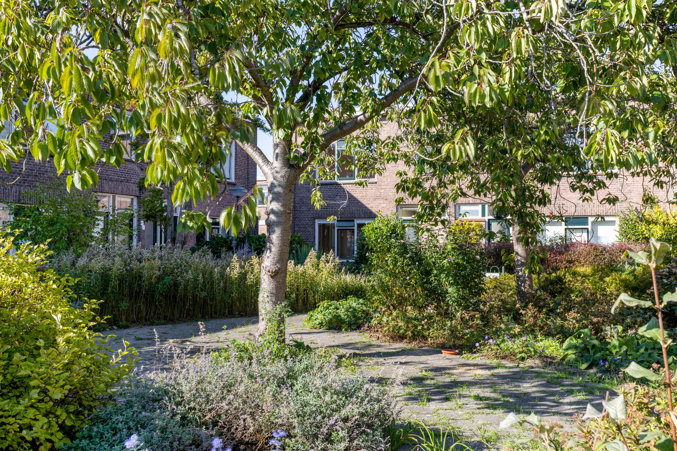 Foto 27 van Pioenhof 5