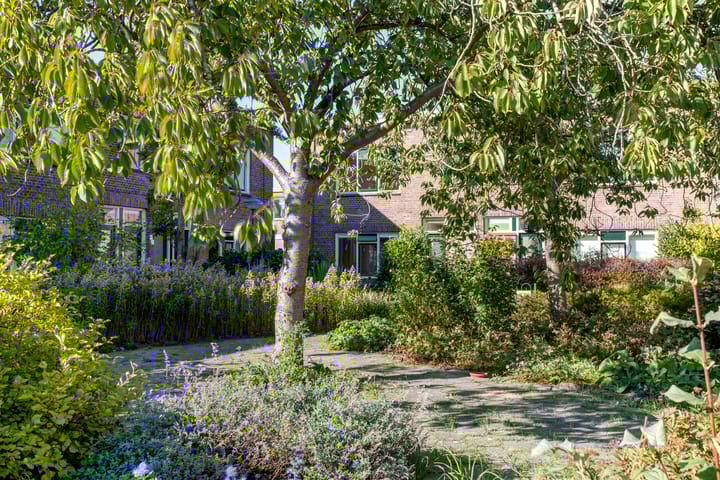 Photo 27 of Pioenhof 5