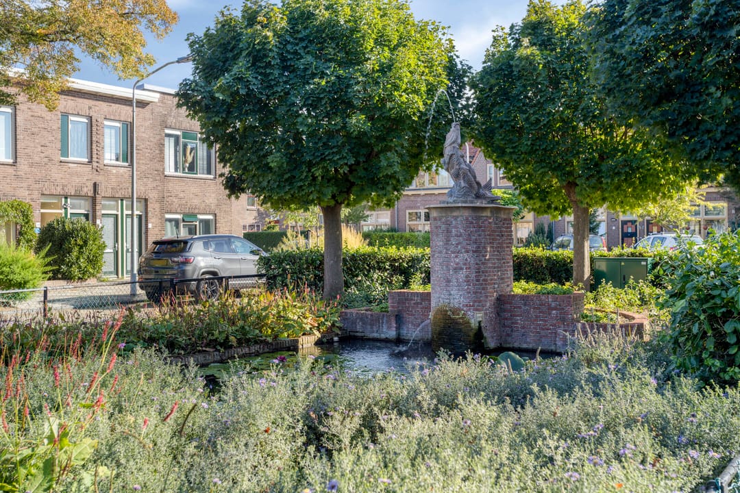 Foto 28 van Pioenhof 5