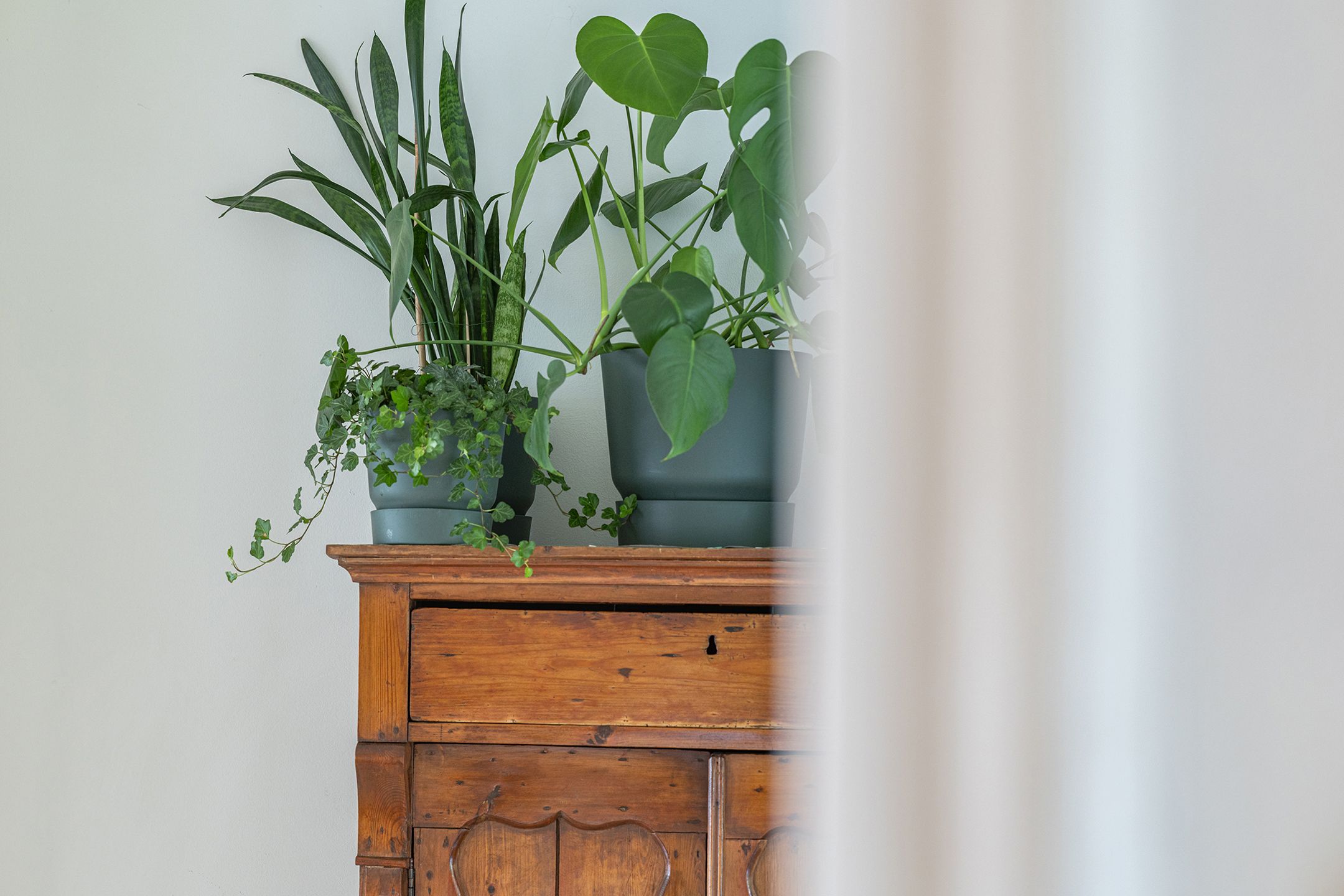 Foto 15 van Paetsstraat 27-B