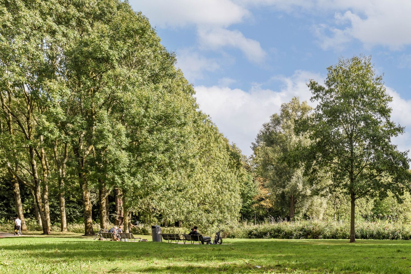 Foto 20 van Nachtwachtlaan 496