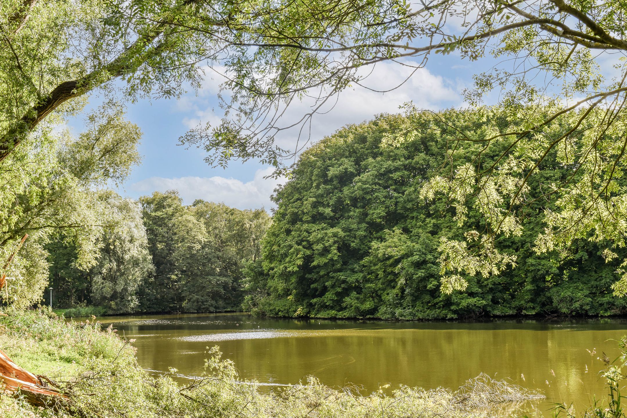 Foto 21 van Nachtwachtlaan 496