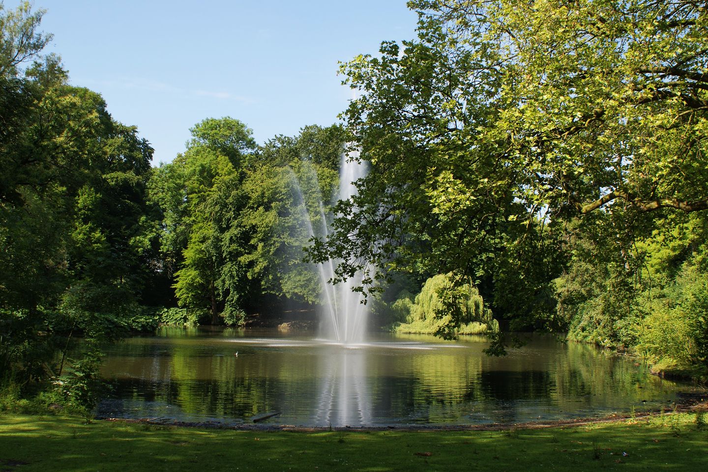 Foto 50 van Jodocus van Lodensteinstraat 37