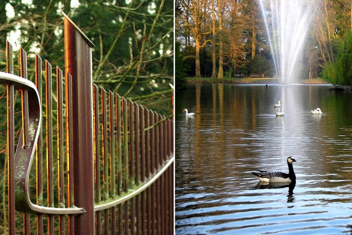 Foto 51 van Jodocus van Lodensteinstraat 37