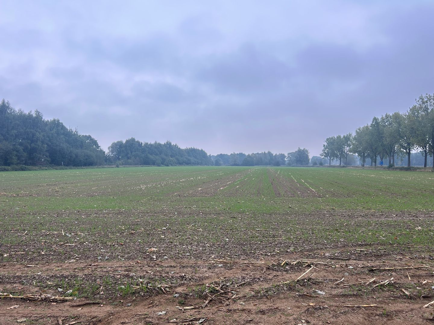 Bekijk foto 2 van Hamelspoelweg