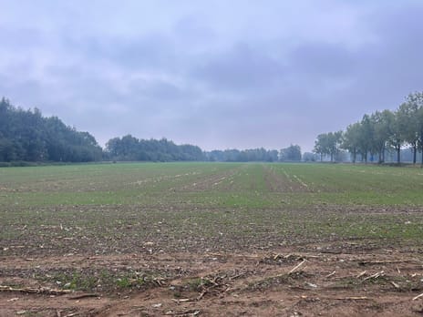Bekijk foto's