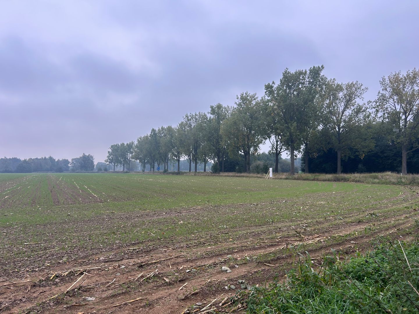 Bekijk foto 3 van Hamelspoelweg