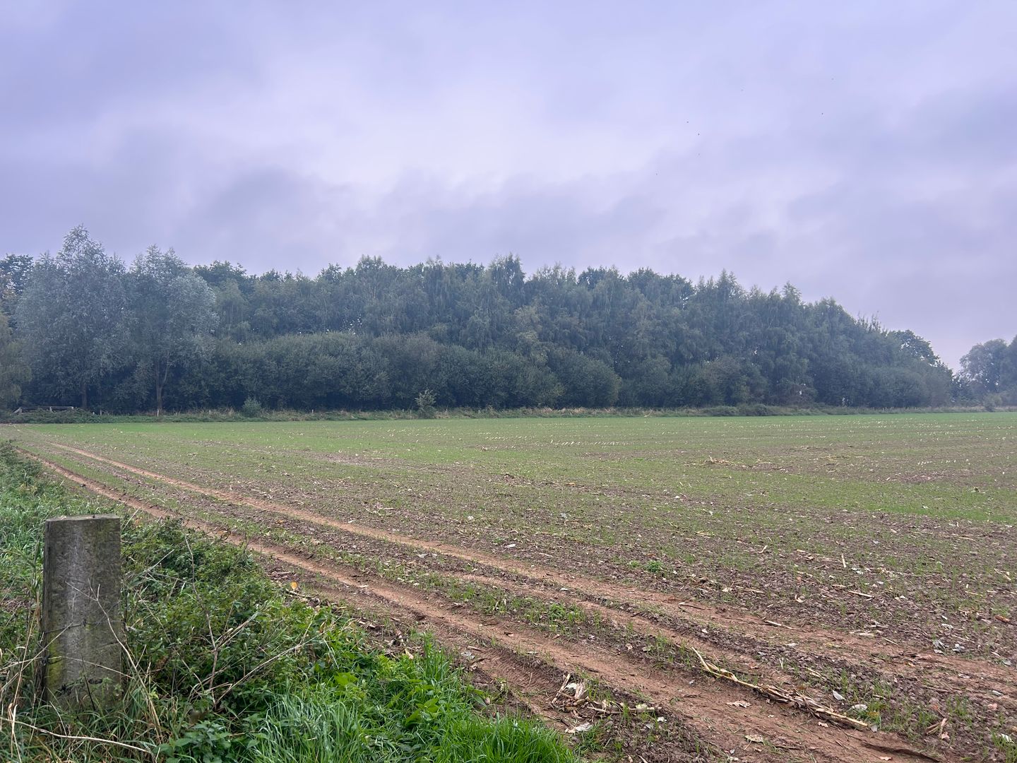 Bekijk foto 4 van Hamelspoelweg