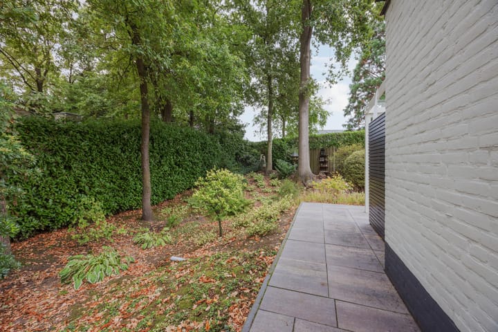 Foto 42 van Van Hamelbergweg 2