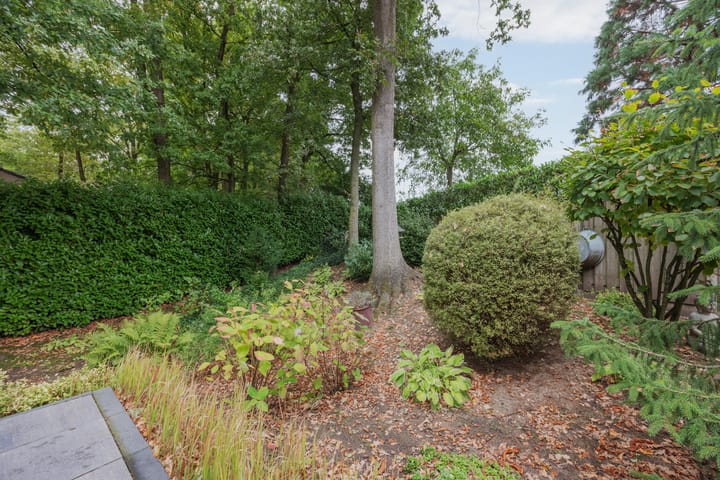 Foto 44 van Van Hamelbergweg 2