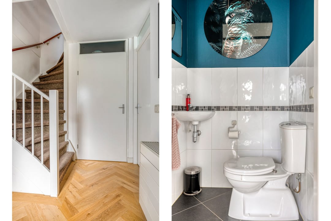 Foto 8 van Johannes Vermeerhage 27