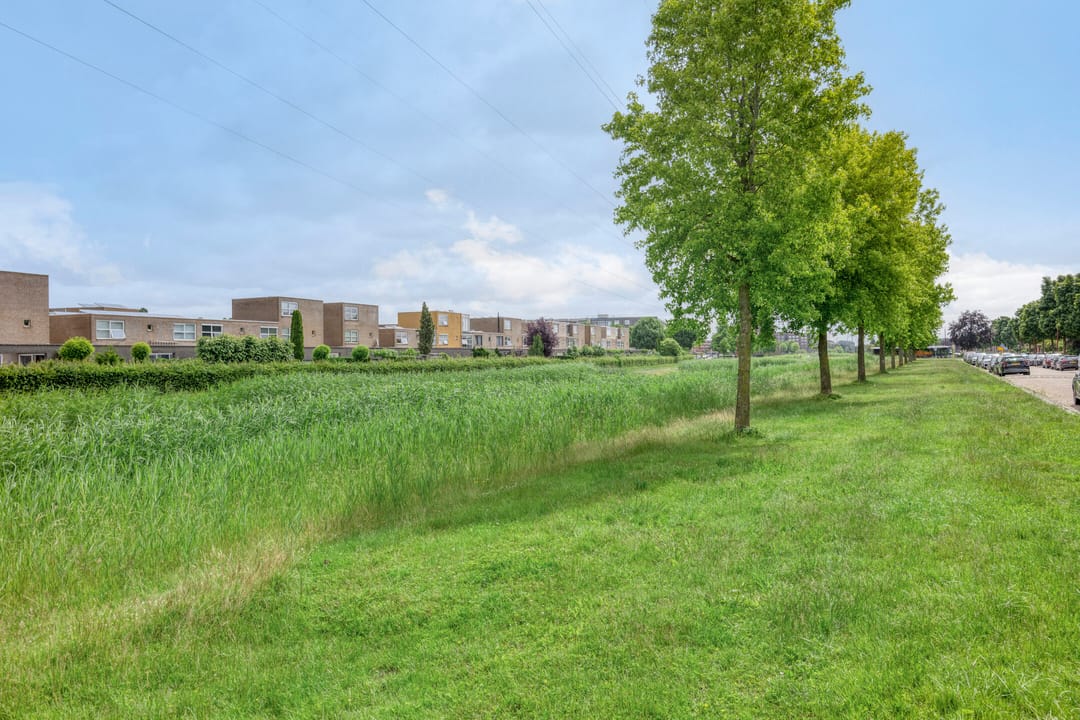 Foto 56 van Johannes Vermeerhage 27