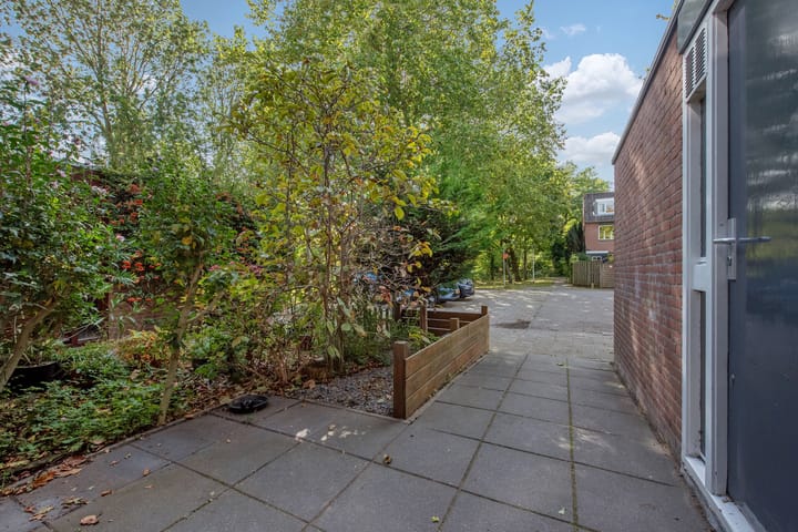 Foto 7 van Veldmuizenpad 13