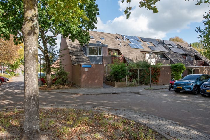 Foto 1 van Veldmuizenpad 13