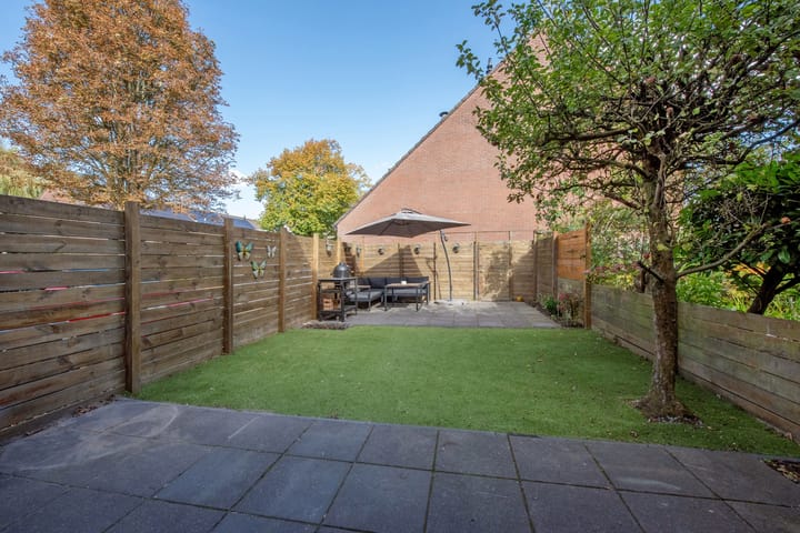 Foto 12 van Veldmuizenpad 13