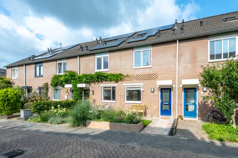 undefined main image