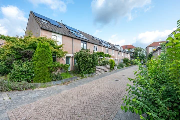 Foto 26 van Samoas 13