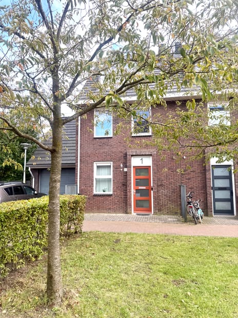 undefined main image