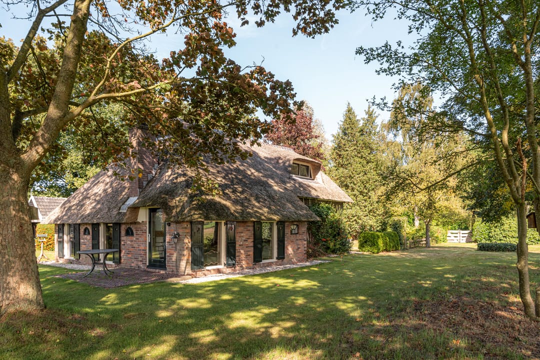 Foto 2 van Bloemberg 1