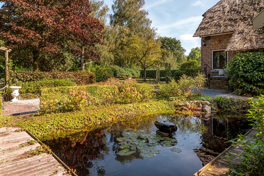 Foto 31 van Bloemberg 1