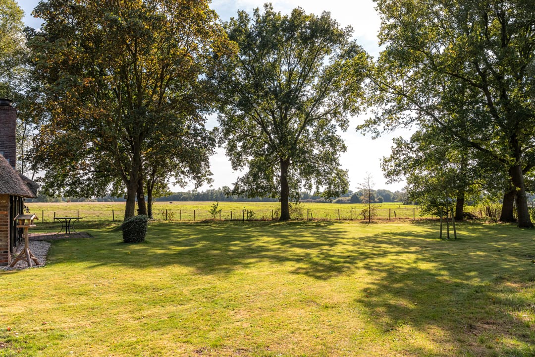 Foto 41 van Bloemberg 1