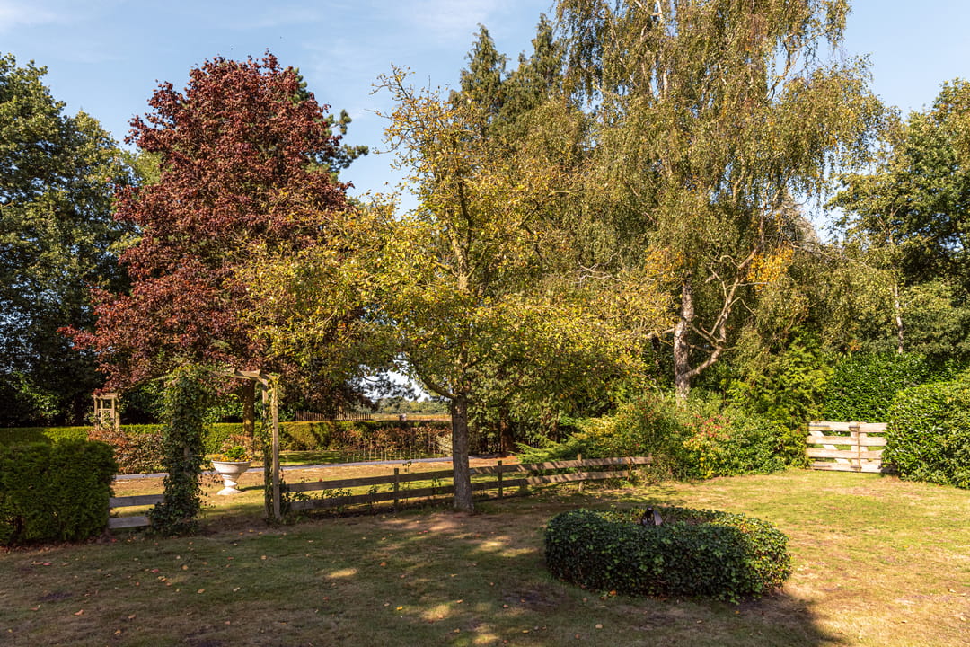 Foto 46 van Bloemberg 1