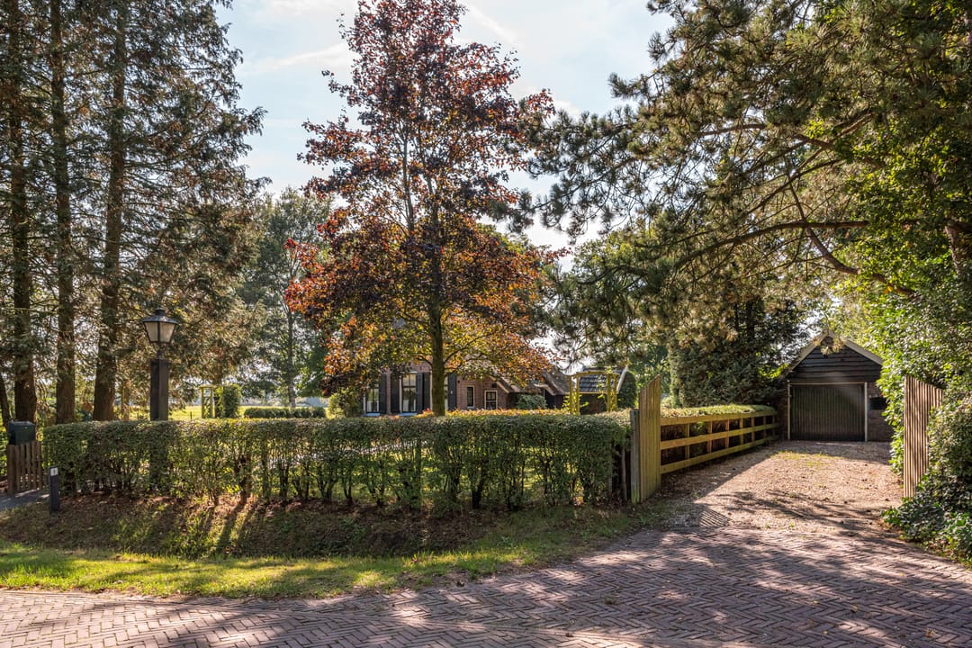 Foto 47 van Bloemberg 1