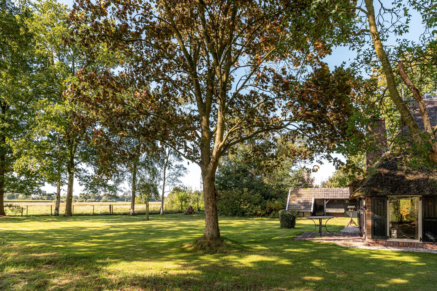 Foto 50 van Bloemberg 1