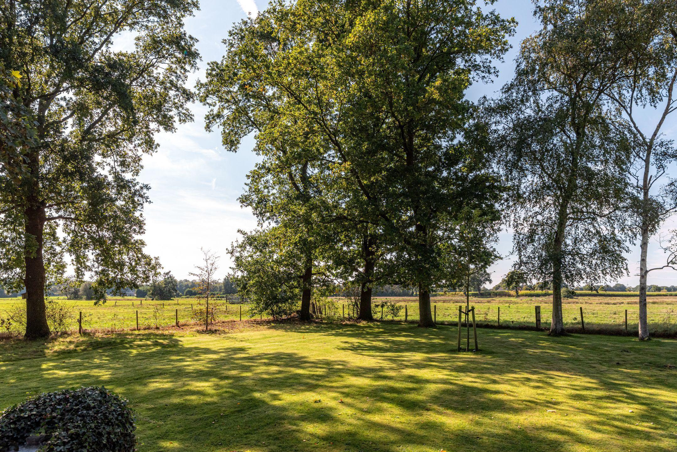 Foto 51 van Bloemberg 1