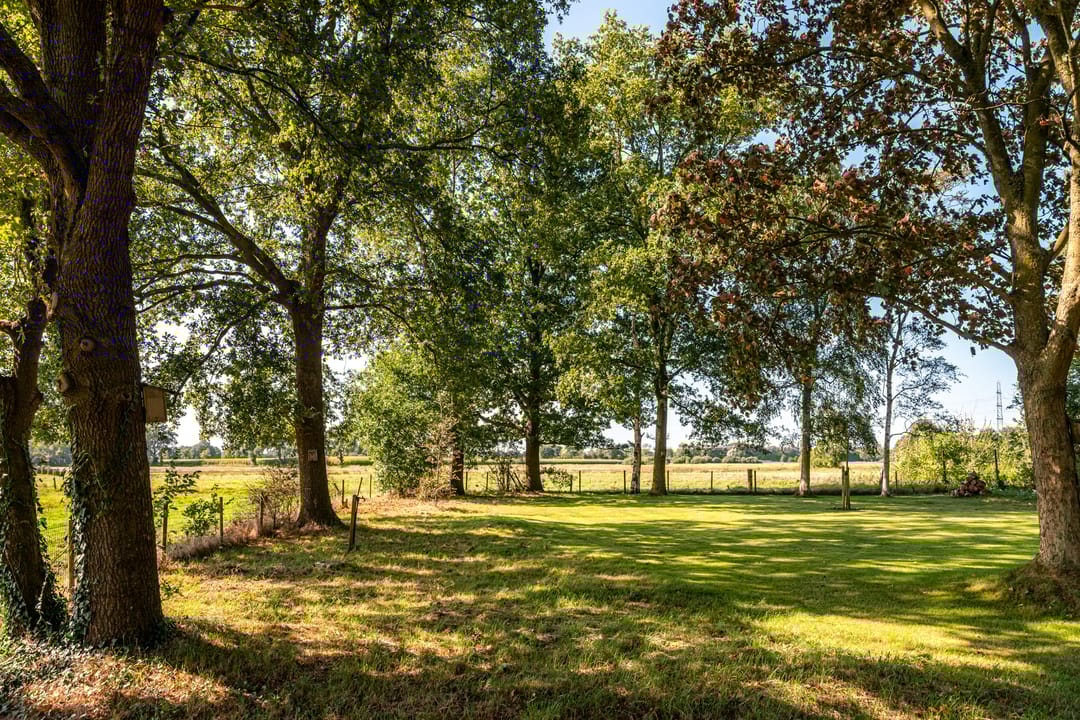 Foto 52 van Bloemberg 1