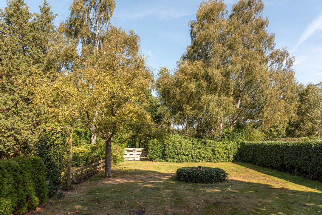 Foto 53 van Bloemberg 1