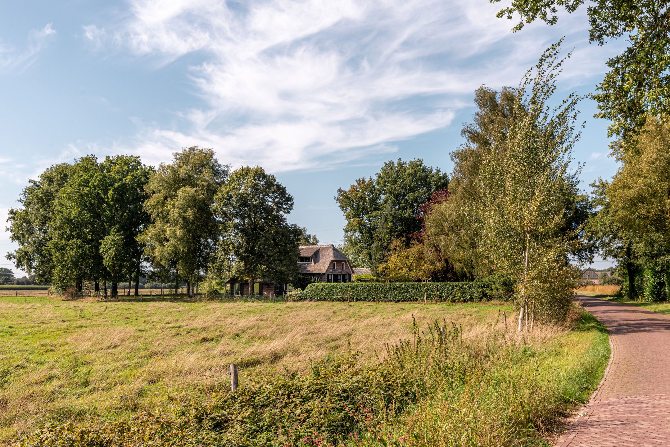 Foto 54 van Bloemberg 1