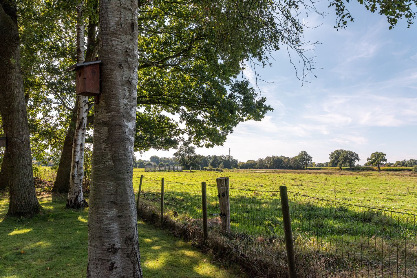 Foto 55 van Bloemberg 1