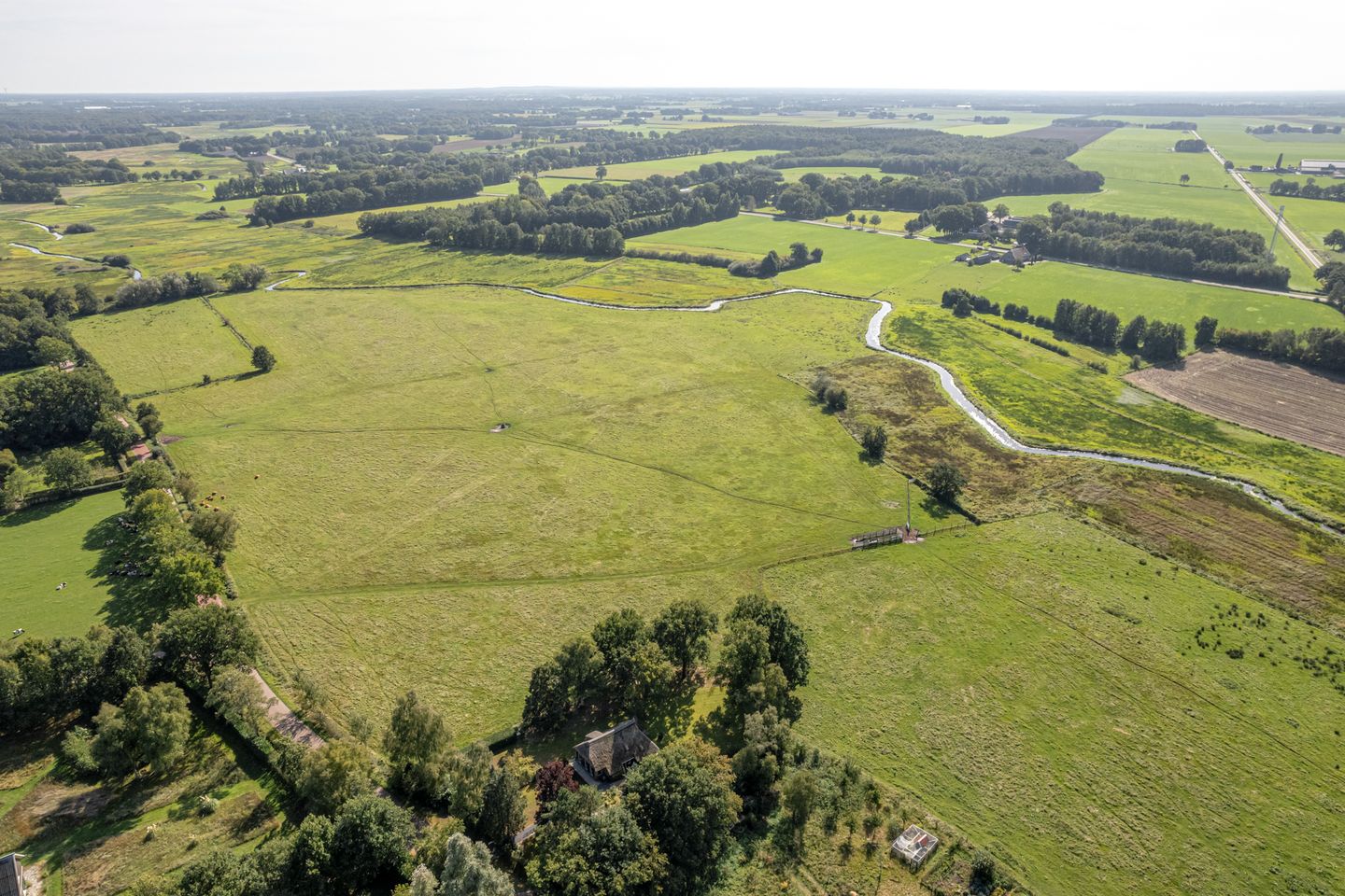 Foto 59 van Bloemberg 1