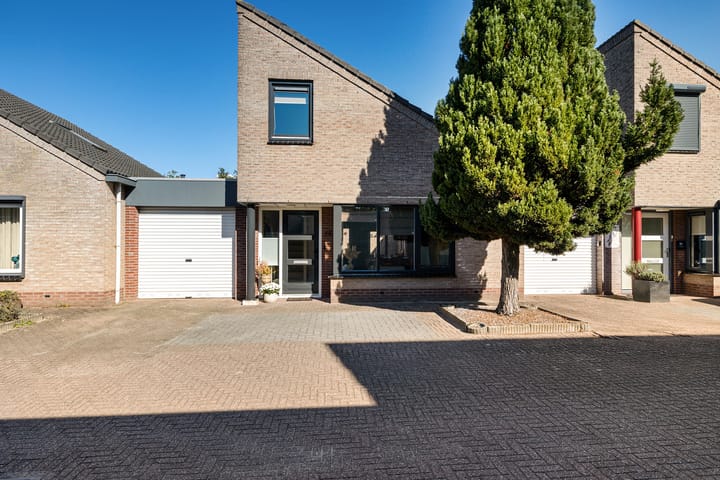 Foto 4 van Slechtvalk 34